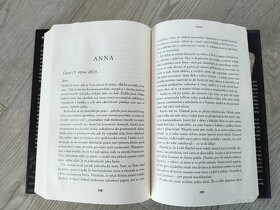 Dívka ve vlaku - 3