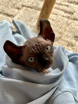 Prodám koťata Sphynx-Elf, Elf-Strike - 3