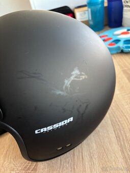 Helma Cassida - 3