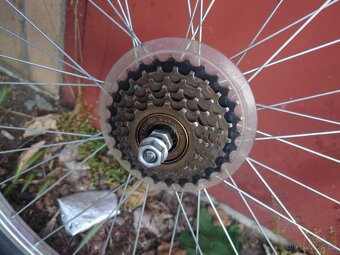 Kola 26" - 3