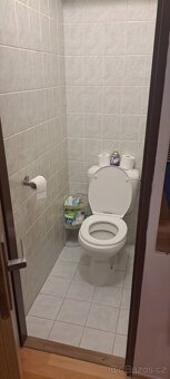 Pronájem bytu 2+1 50 m² - 3