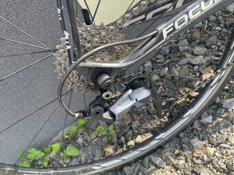 Focus Izalco - 3