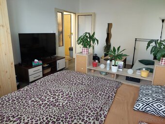 Pronájem bytu 1+kk Opava, Antonína Sovy - 3