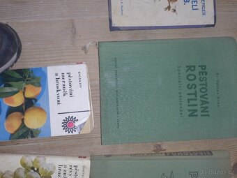 Včelařství zahrada hrozny - 3