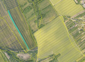 Prodej polí s velmi dobrou bonitou – 9 583 m² - kú Traplice - 3