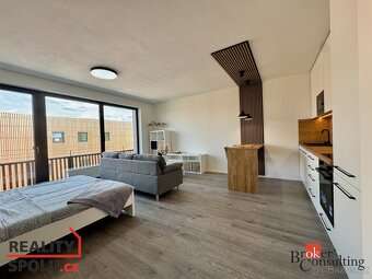Pronájem, byty/1+kk, 43 m2, Kartónová 2843/2, 32600 Plzeň, P - 3