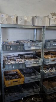 k prodeji stabilní biznes se suvenýry a skladem produktů - 3