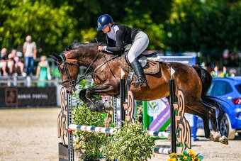 Klisna do sportu či k rekreaci - 3