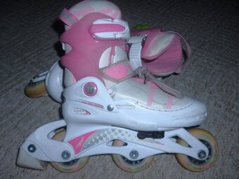 in line - CYGNUS - 3