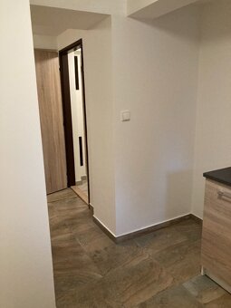 Pronájem ateliéru k bydlení 1+1, 25 m2 - 3