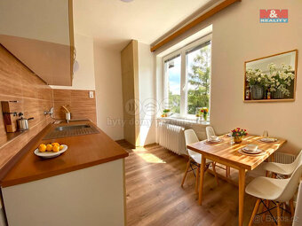 Pronájem bytu 1+1, 30 m², Nové Město na Moravě, ul. Luční - 3