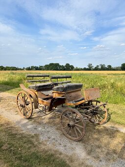 Koňská bryčka - 3