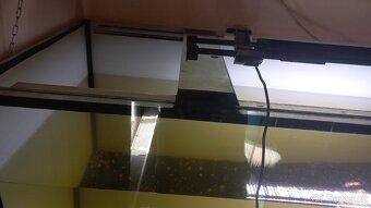 Akvarium - 3
