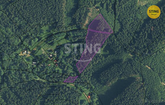 Pozemky o velikosti 61.706 m2 v blízkosti česko-slov, 131680 - 3