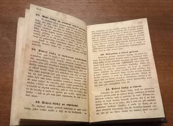 Magdalena Dobromila Rettigová - 3