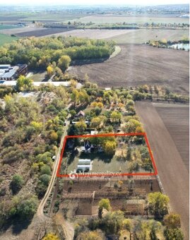 Velká zahrada s chatkou - 3