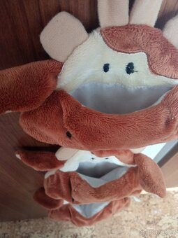 Kapsář-kravička - 3