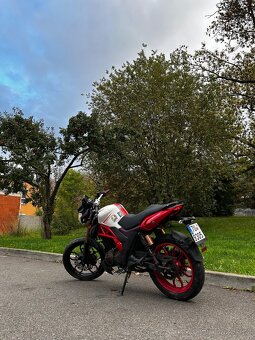 UM Xtreet 125 - 3