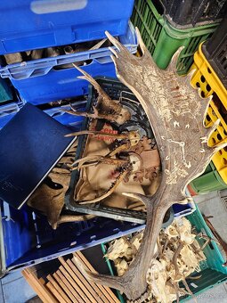 Paroží,trofeje,shozy,obrazy - 3