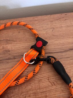 Obojek a vodítko - 3