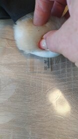 Medvídek sběratelský-2 - 3