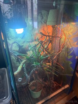 Prodám terárium - 3