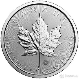 Investiční mince čisté stříbro 1 oz 31,1 gramů 999 - 3