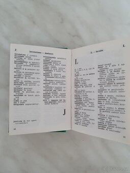 Česko-italský kapesní slovník - 3