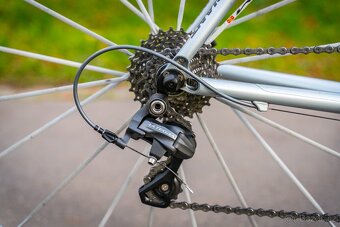 Silniční kolo Giant TCR C1 Carbon - 3
