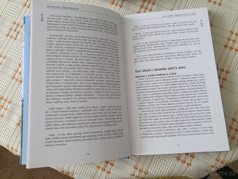 Na frekvenci čínské medicíny, autor MUDr. Petr Hoffmann - 3