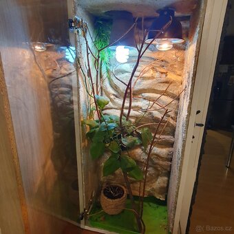 Terárium pro chameleona 100× 50 ×35 - 3