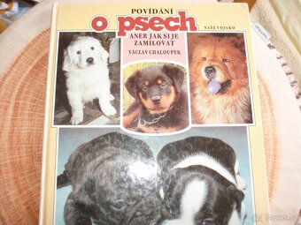 knihy o zvířatech,pavouci,ryby,užovka,holubi,králíci,brouci - 3