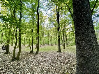 Prodej, pozemek, 950 m, , Brno - Medlánky, Česko - 3
