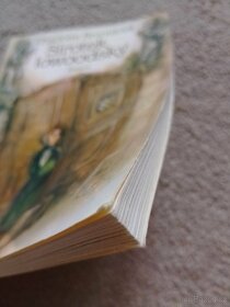 Sirotek lowoodský - 3