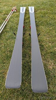 Lyze Volkl Racetiger SpeedWall 165 - 3