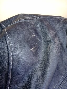 KOŽENÉ KALHOTY A BUNDA PSI - HOVĚZÍ KŮŽE - DÁMSKÉ - 3