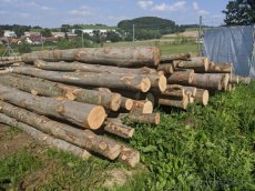 Palivové dřevo buk Prachatice - 3