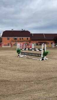 Ustájení v rodinné sportovní stáji – Equistable Korycany - 3