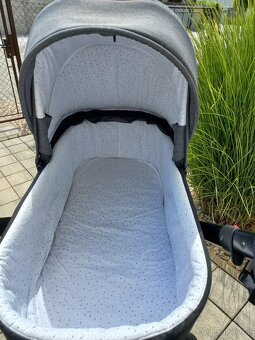 Kocarek Tudore Ranger - 3