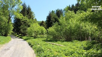 Pozemek, Potůčník, okr. Šumperk - 3