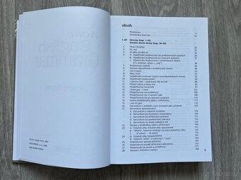 Active English Grammar - Sergej Tryml, Top stav - 3