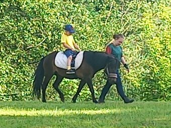 Pony kobylka - 3
