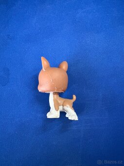 Littlest Pet Shop #1079 Boston Teriér - 3