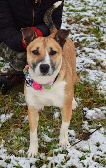 FLAVIA K ADOPCI - 2 ROKY, USMĚVAVÁ, KAMARÁDSKÁ - 3