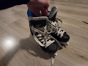 Lednice brusle 38 - 3