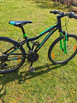 Kolo Author vel. 24" - 3