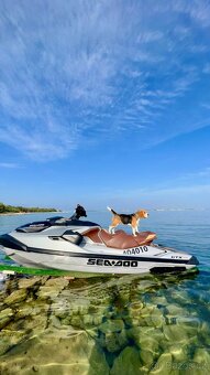 PRODÁM - Sea-Doo GTX Limited 300, rok 2020 - 3