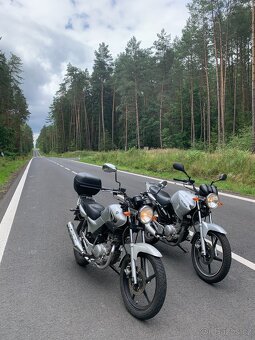 Yamaha YBR 125 2012 - 3