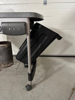 Gril Weber Perfomance - 3