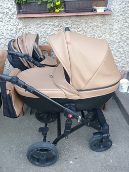 Tudore Trapper, korby Ranger - 3